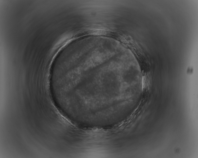 X0000098070243200804251444