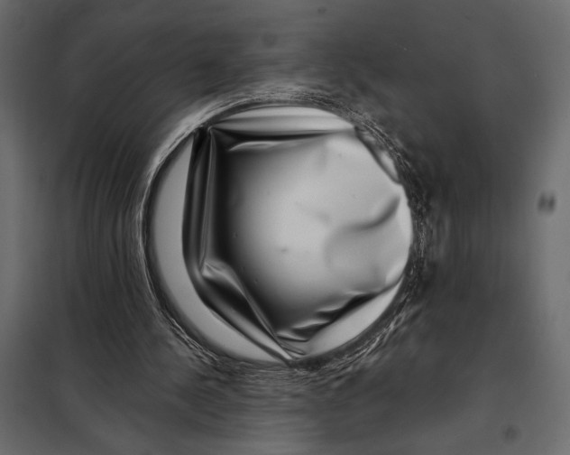 X0000098070244200804251444