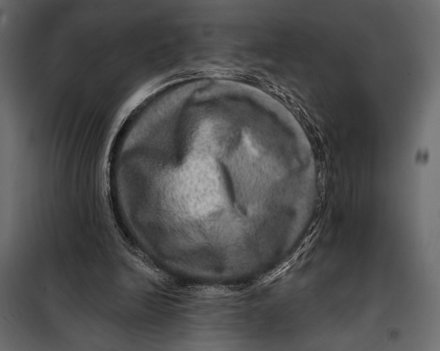 X0000098070246200804251444