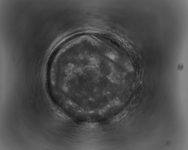 X0000098070247200804251444