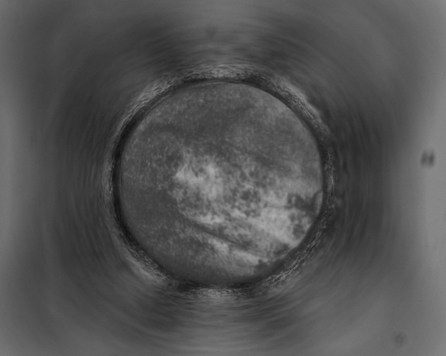 X0000098070250200804251444