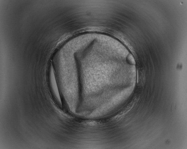 X0000098070253200804251444