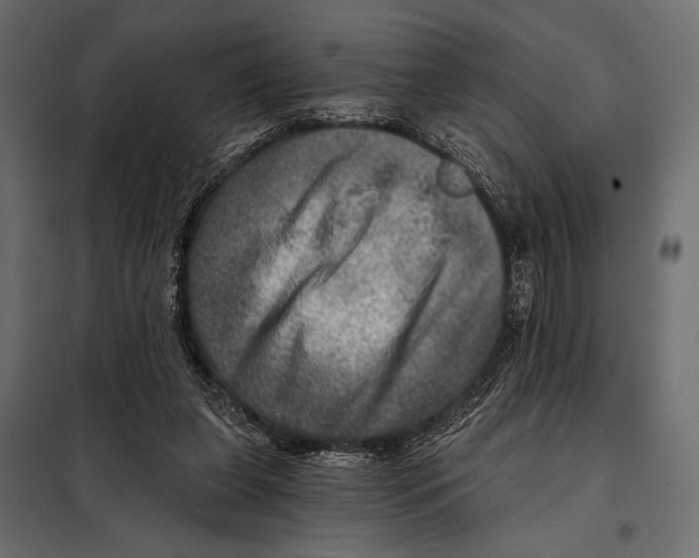 X0000098070255200804251445