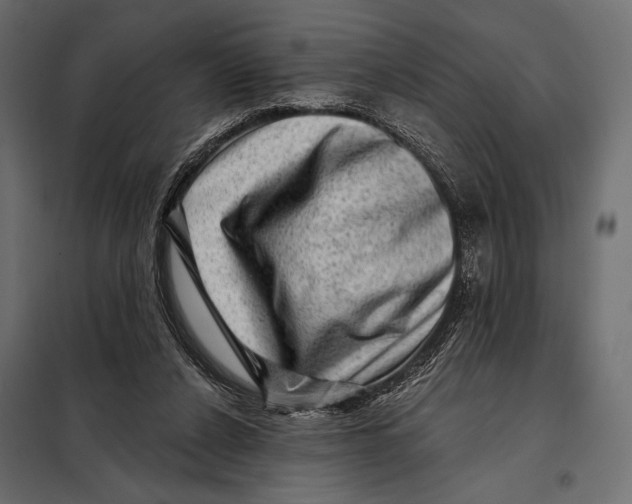 X0000098070256200804251445