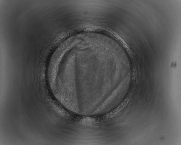 X0000098070257200804251445