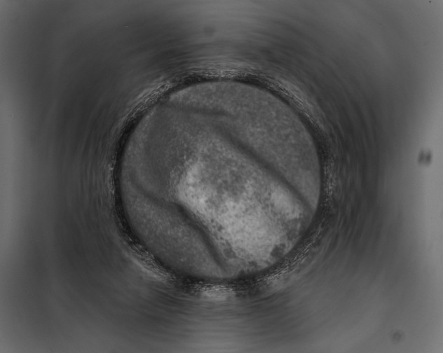 X0000098070258200804251445