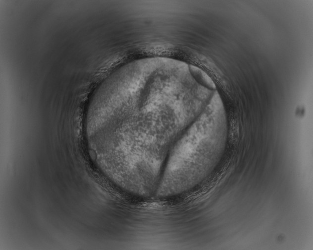 X0000098070259200804251445