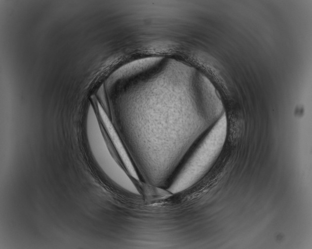 X0000098070260200804251445