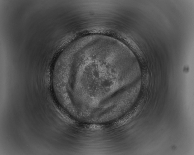 X0000098070261200804251445