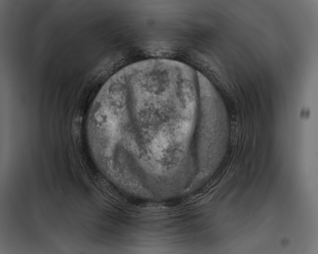 X0000098070263200804251445