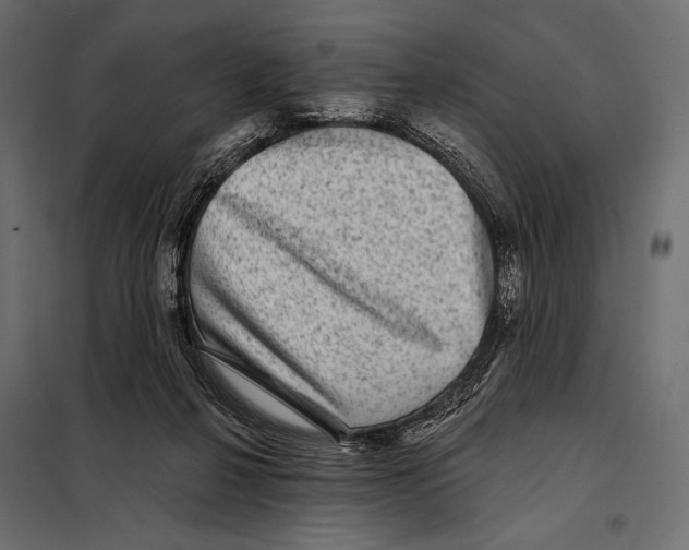 X0000098070264200804251445