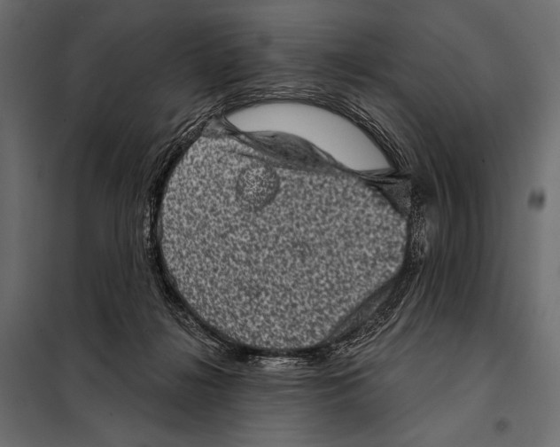 X0000098070268200804251445