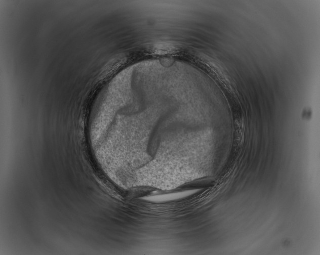 X0000098070269200804251445