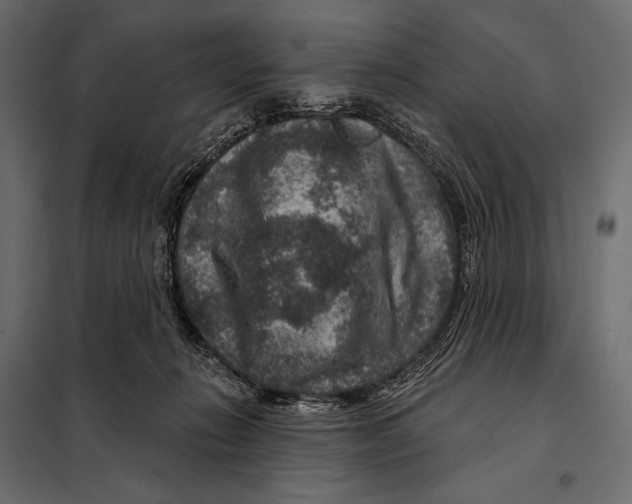 X0000098070270200804251445