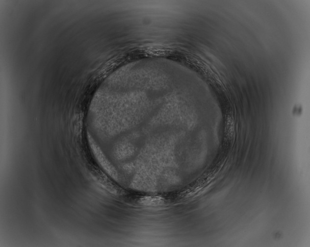 X0000098070271200804251445