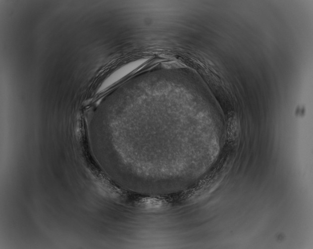 X0000098070272200804251445