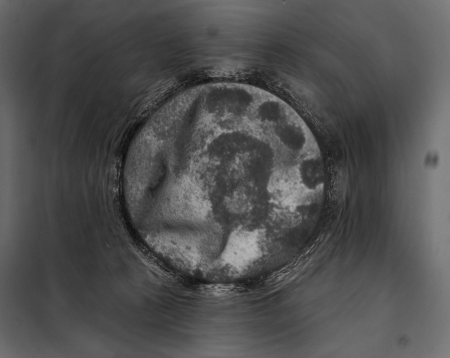 X0000098070273200804251445