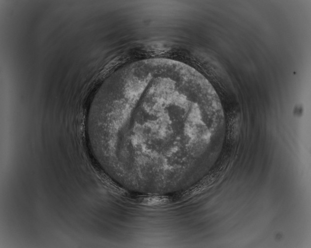 X0000098070274200804251445