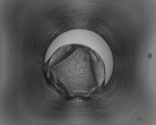 X0000098070276200804251445