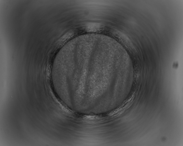 X0000098070277200804251445