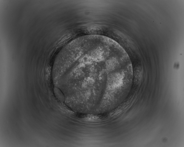 X0000098070278200804251445