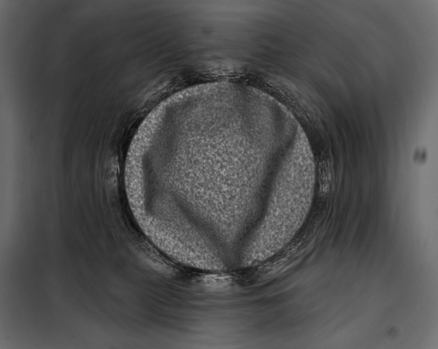 X0000098070279200804251445