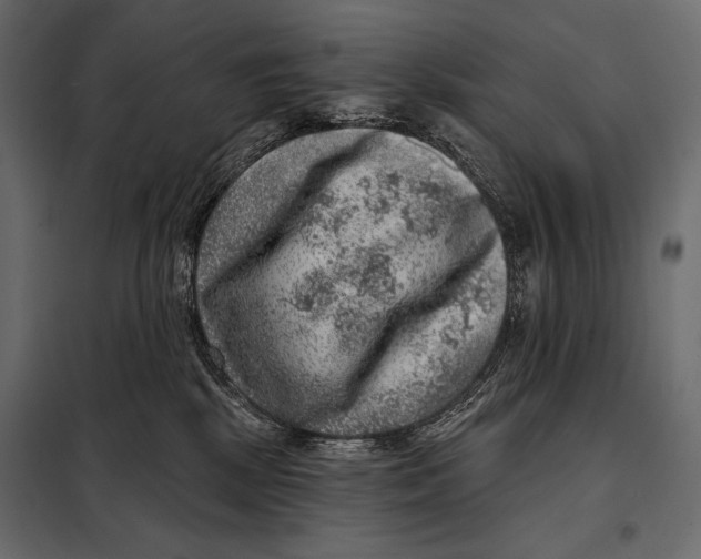 X0000098070281200804251445