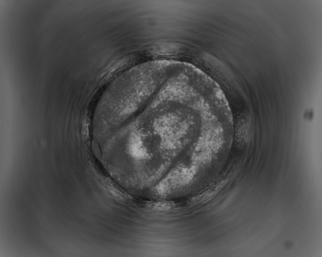 X0000098070282200804251445