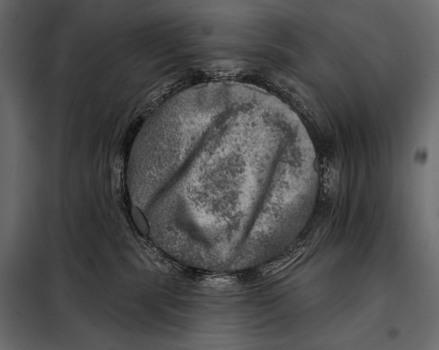 X0000098070283200804251445