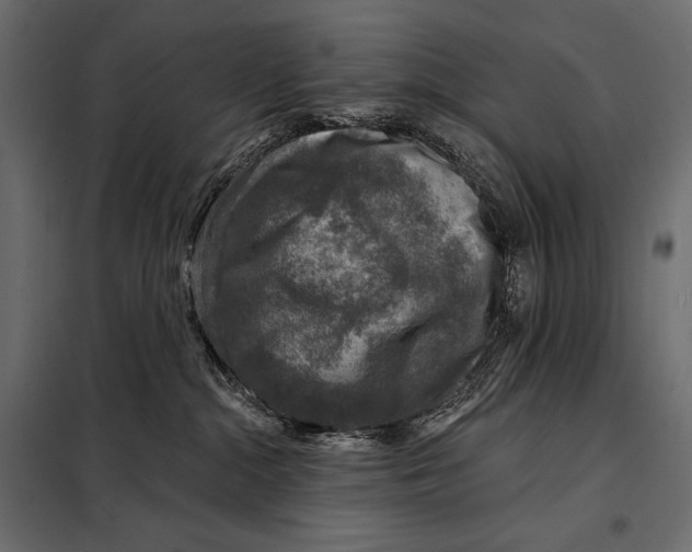 X0000098070284200804251445