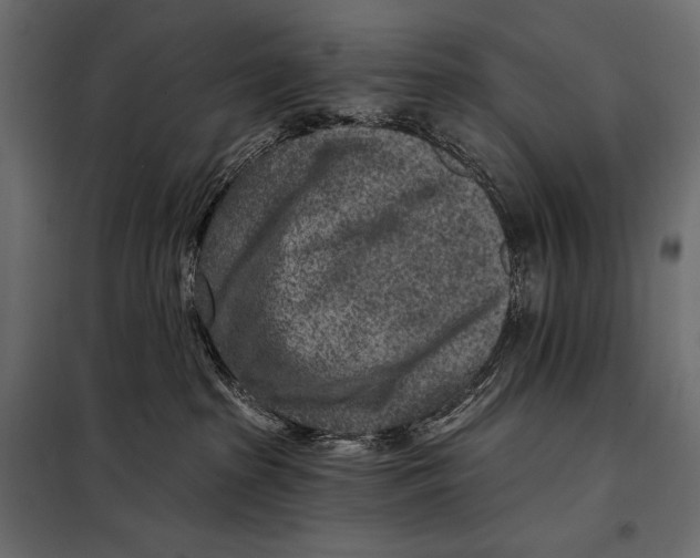 X0000098070285200804251445