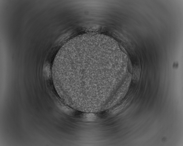 X0000098070287200804251445