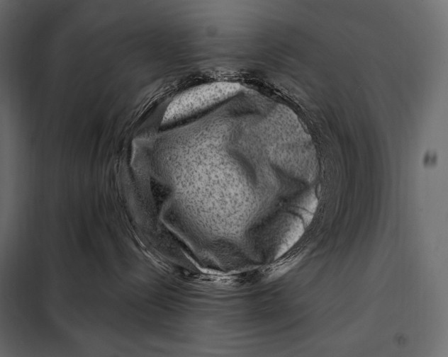 X0000098070288200804251445