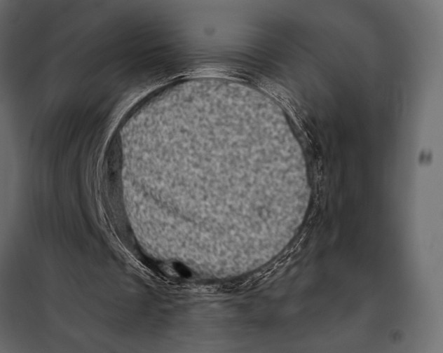 X0000098070289200804251444