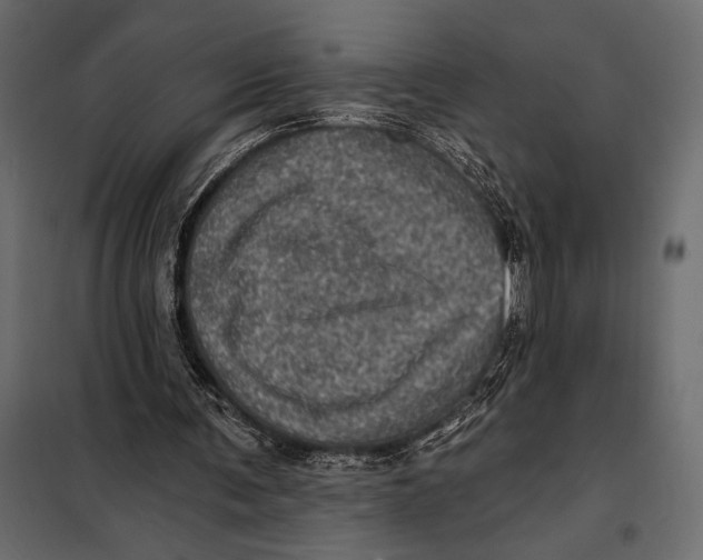 X0000098070291200804251444