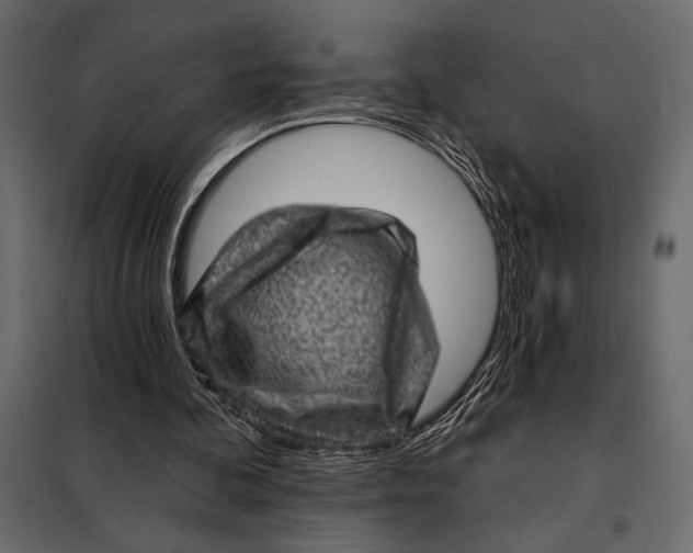 X0000098070292200804251444