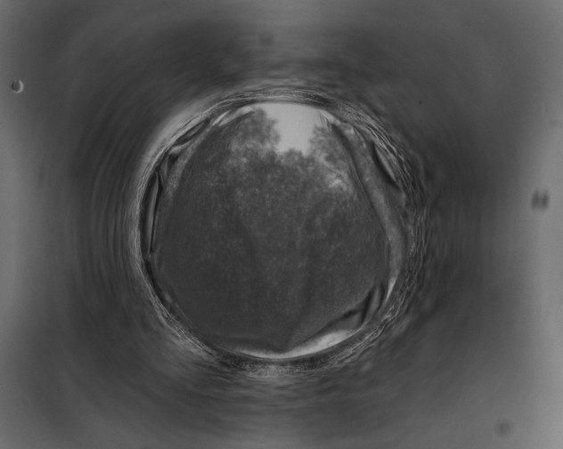 X0000098070293200804251444