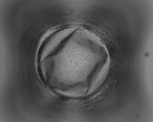 X0000098070294200804251444