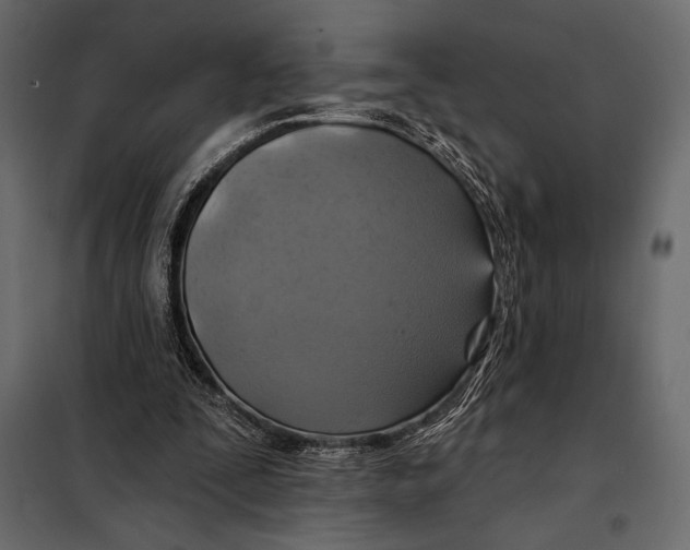 X0000098070295200804251444