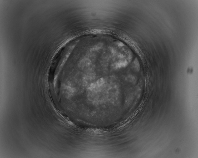 X0000098070297200804251444