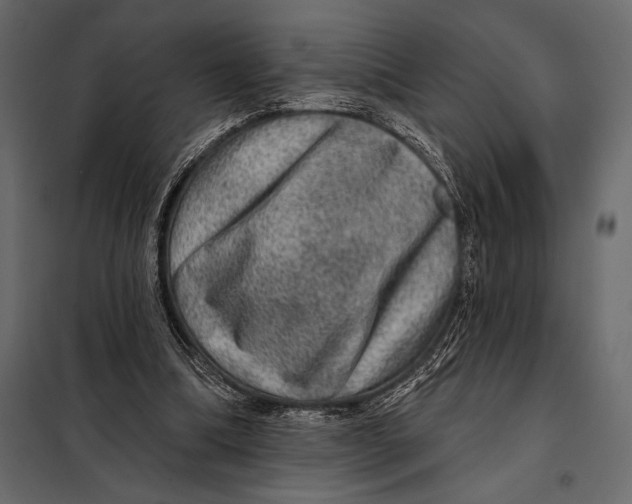 X0000098070298200804251444