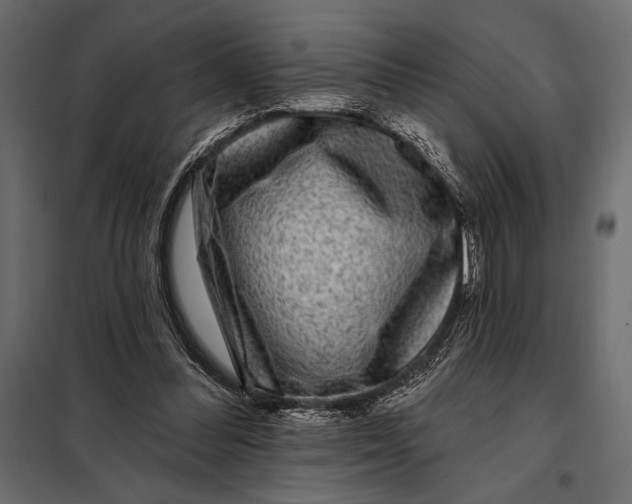 X0000098070300200804251444