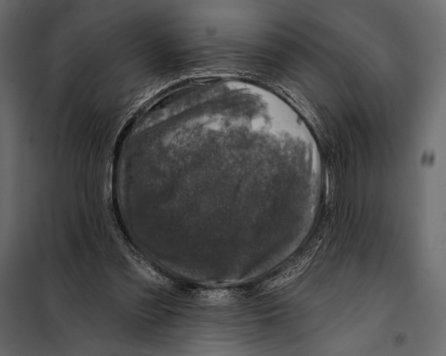 X0000098070301200804251444