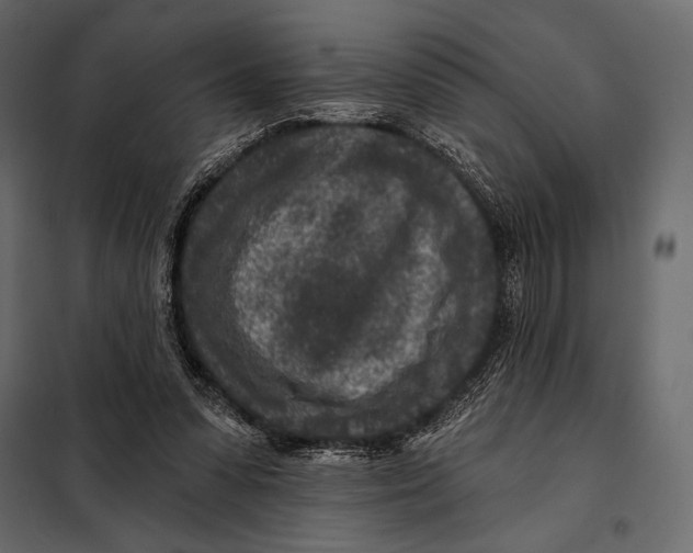 X0000098070303200804251444