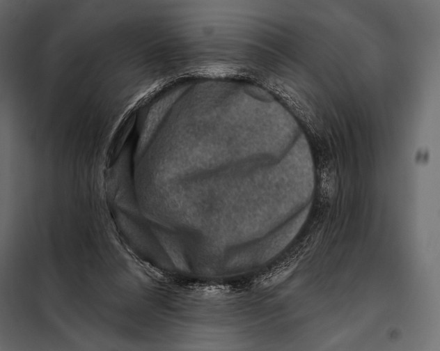 X0000098070304200804251444