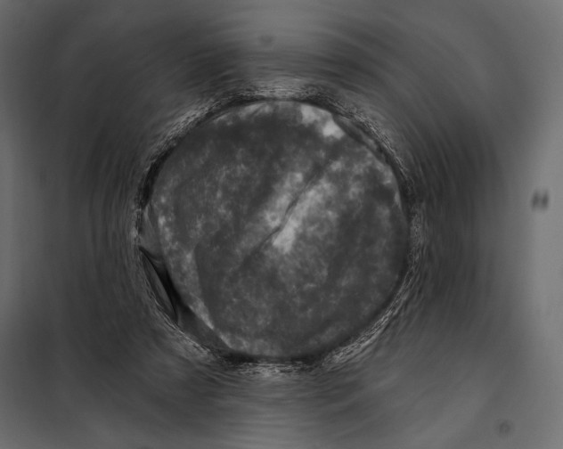 X0000098070305200804251444