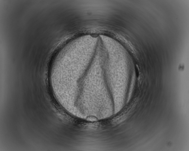 X0000098070306200804251444