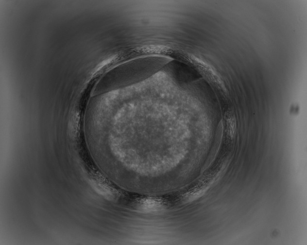 X0000098070308200804251444