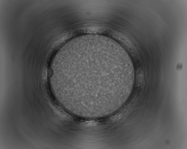 X0000098070310200804251444