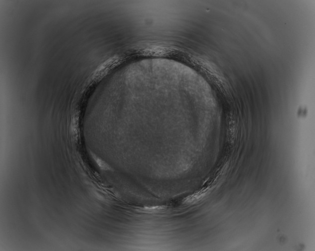 X0000098070312200804251444